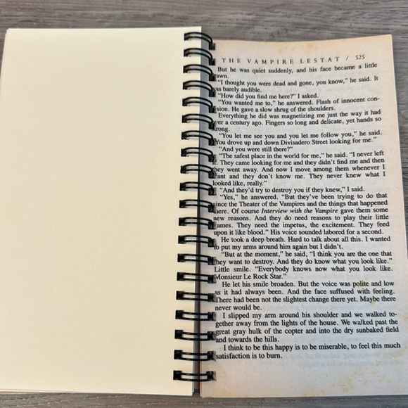 Secret Journal “The Vampire Lestat” 📚 Handmade journal from an old book - Picture 5 of 7